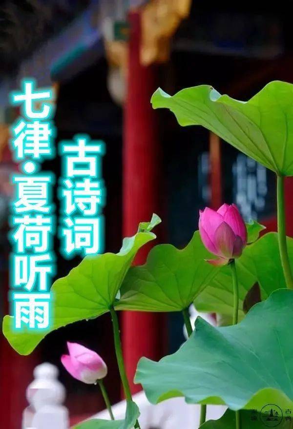 七律夏荷听雨外一首如何转逆缘为善知识