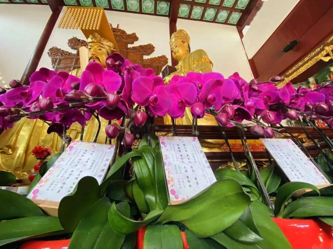 鲜花礼神上海白云观主殿神前鲜花接受供养