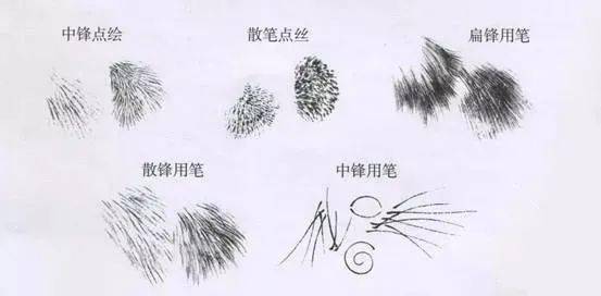 國畫教程:虎的各種畫法詳解_皮毛_斑紋_黑色