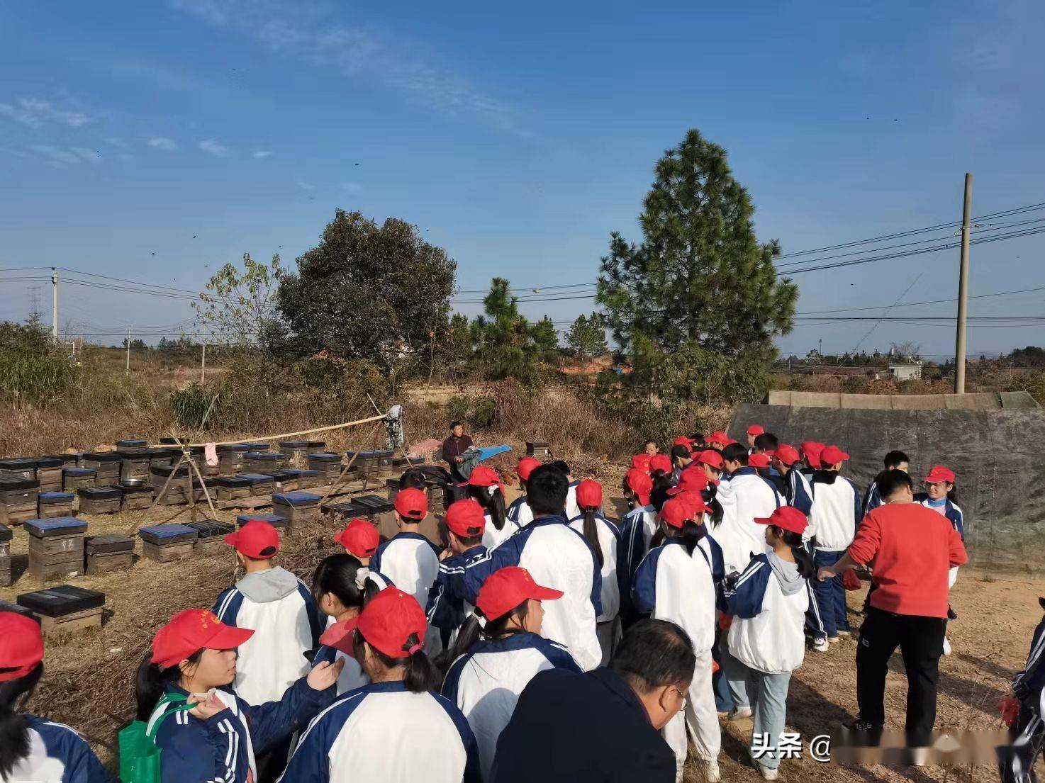 抚州临川区大岗中学积极落实双减政策助力学生全面发展