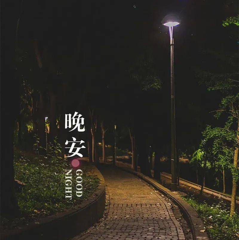 【晚安】幸福就在不远处_省新_防控_调研