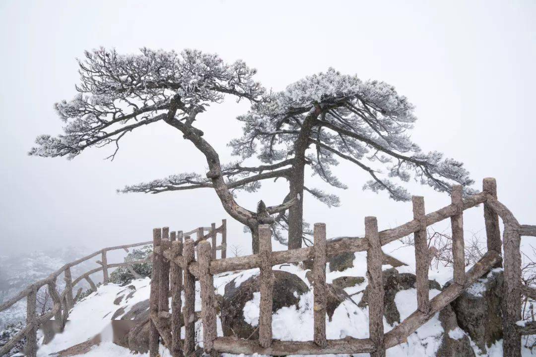 阿尔山|2022的第一场雪，去哪儿看才最浪漫？