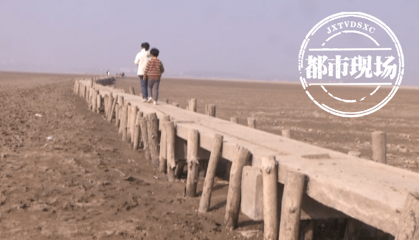 九江都昌：鄱阳湖进入枯水期，明代“千眼桥”露真容