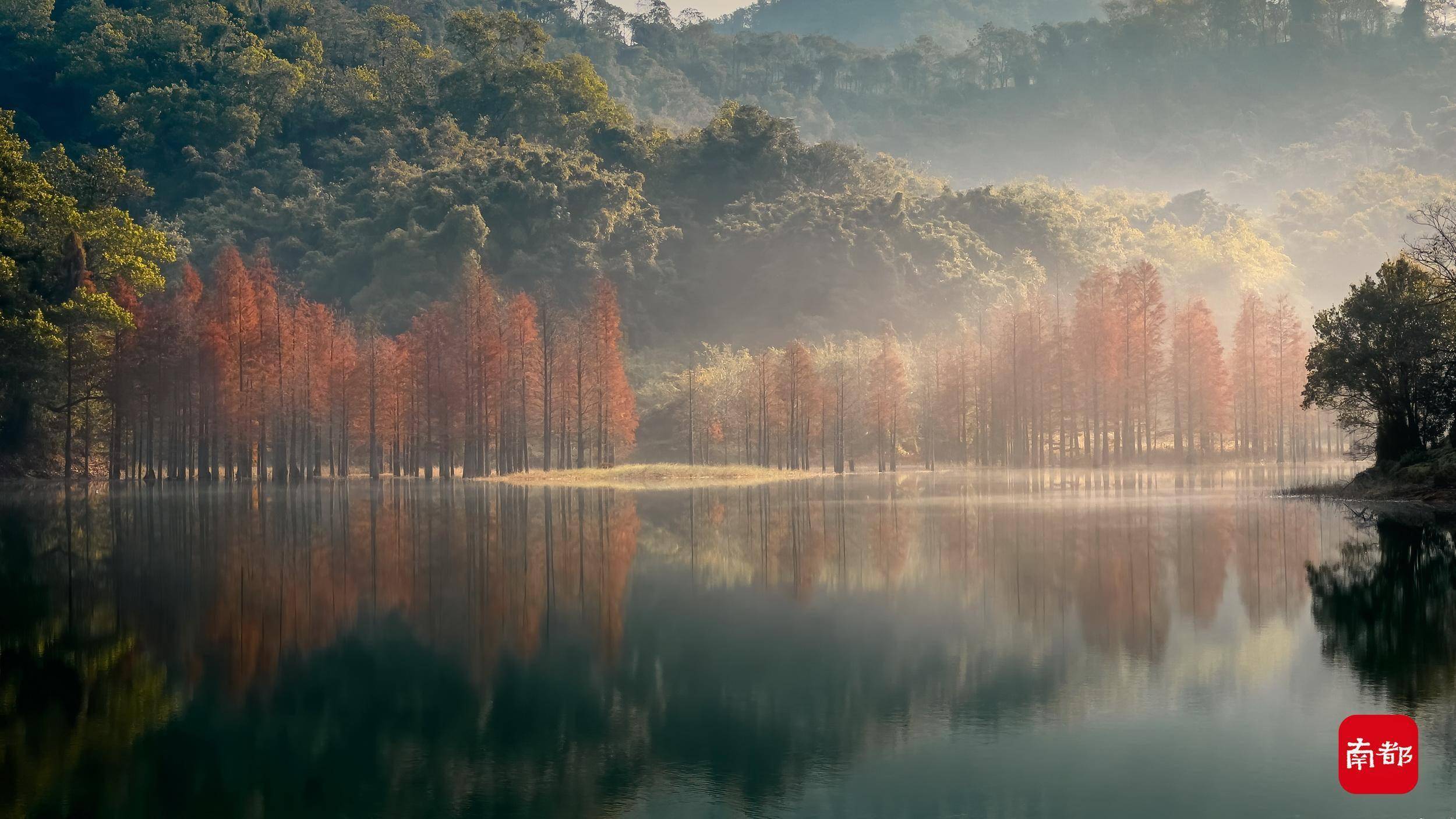 长江水库|图集：薄雾缭绕群山，红叶黄叶交织，这里景色天然中国风