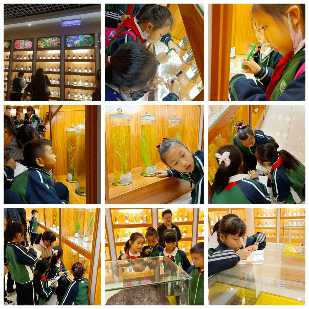 第四单元习作的内容是学写日记,引导学生留心生活,获取写作素材,记录