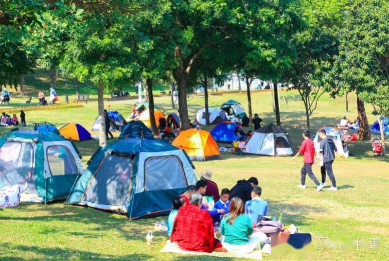 客流量|公园城市里的幸福生活，元旦深圳公园迎来208.3万人次