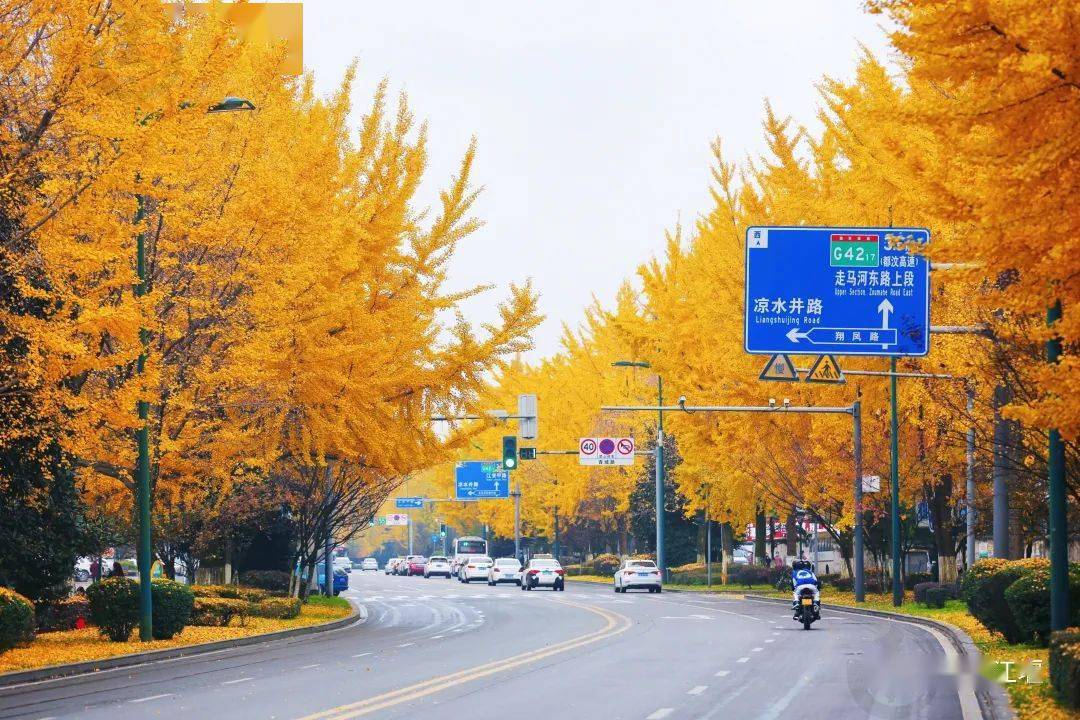 都过|又见都江堰！这是我生活的地方，一座幸福感爆棚的城市！