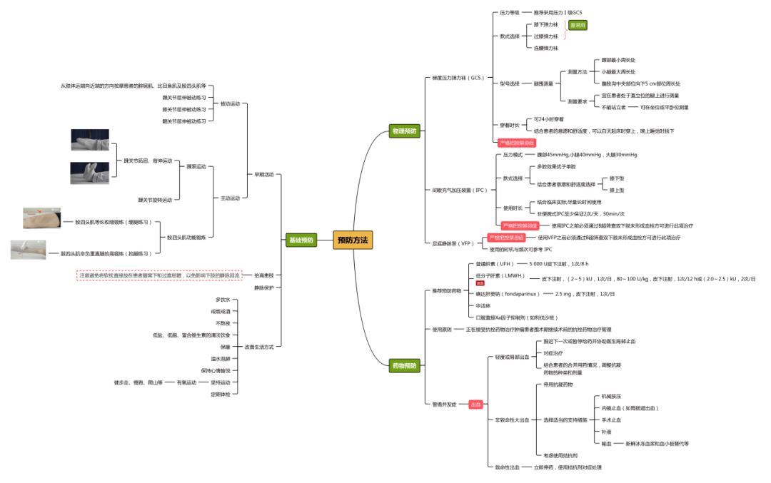 巧用思維導圖輕鬆get血栓知識