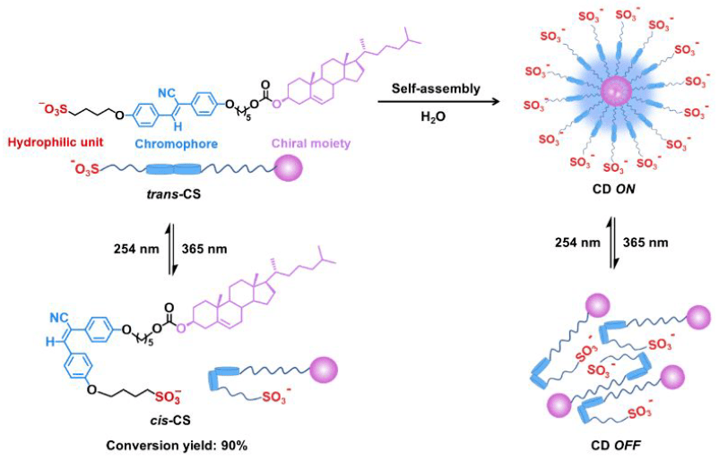 scms水溶液介质中氰基苯乙烯衍生物的可逆手性光驱动自组装
