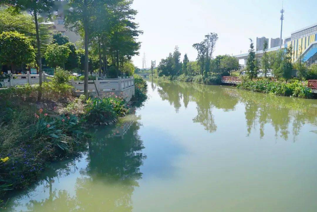 打造禅西大道科创产业带张槎今后重点做到五个一