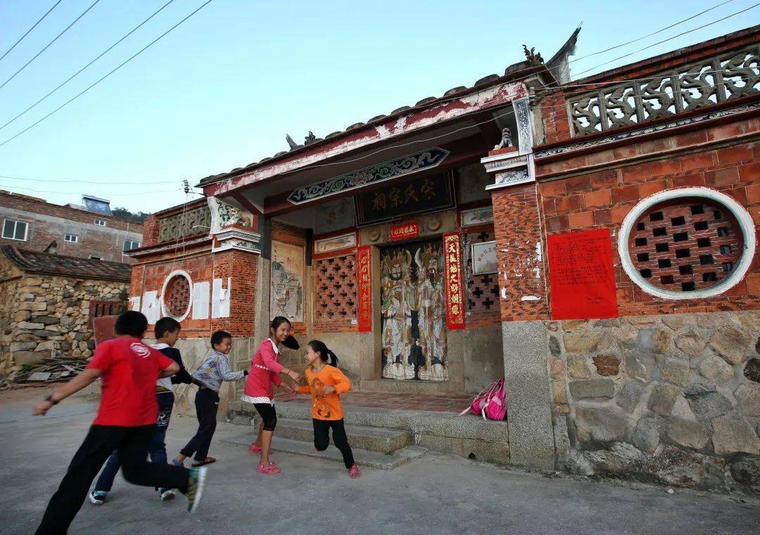 福建省美丽休闲乡村——厦门翔安区锄山村_野菊花_活动_黄花