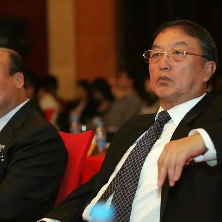 大佬背后的大佬也遇到了麻烦_卢志强_泛海_控股