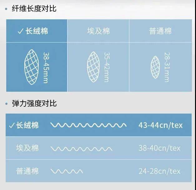 面料?新年国潮 虎虎生威