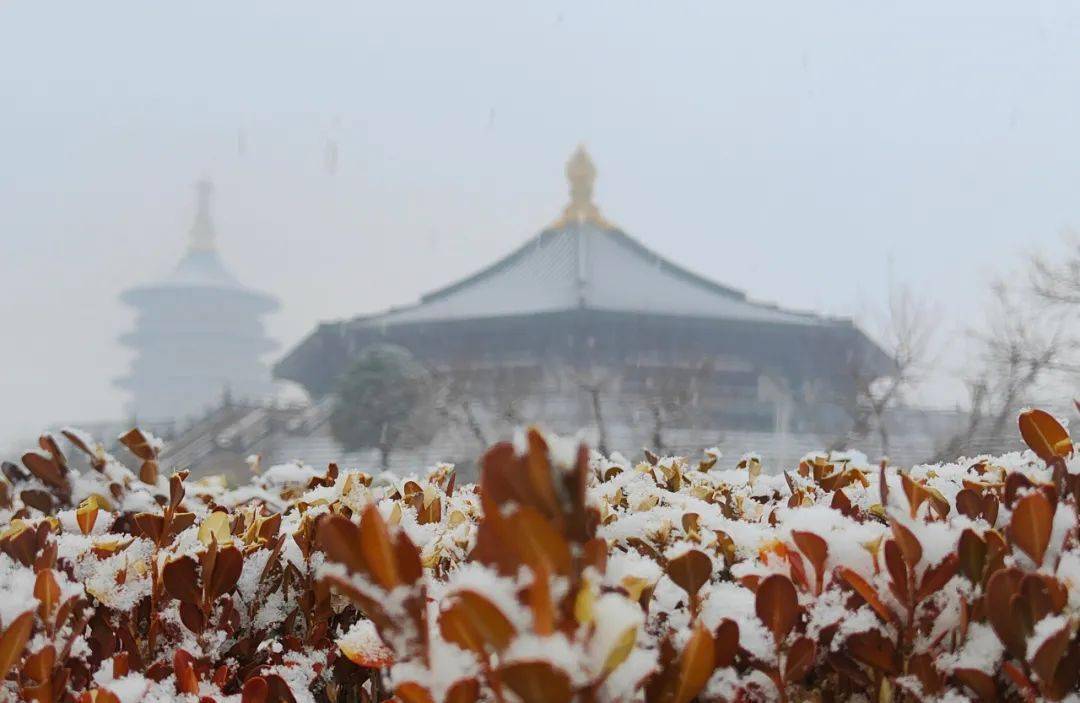 全是美图一下雪洛阳就成了神都