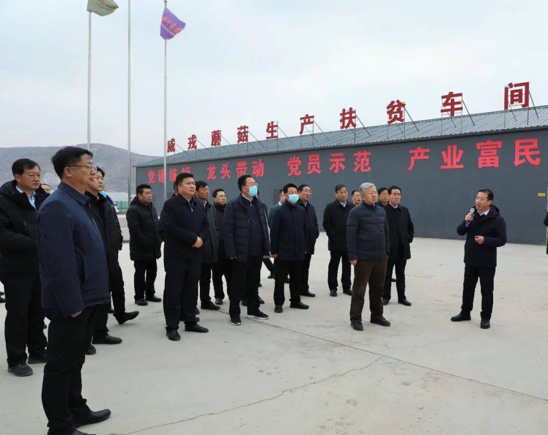 在观摩界石铺镇南山梁万亩现代种养循环农业发展示范带,威戎镇设施