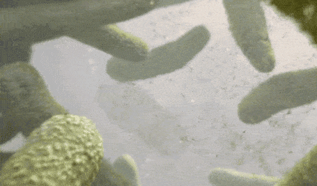 3cf75be451294751ba9cd7bf3f84912a.gif