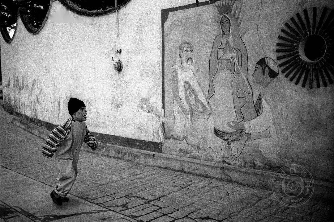 图书2021年IPA国际摄影奖获奖作品公布——非专业组-图书类（下）