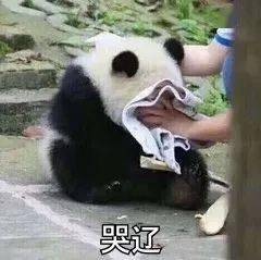 68006ae18f394d669b184b1c4e9cac3e.jpeg
