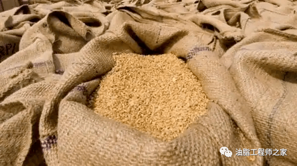 印度政府管控豆粕囤货以抑制价格上涨