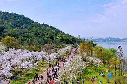 快看看黃石這些公園遊園是不是就在你家門口