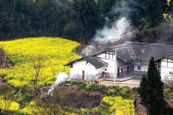 远去的炊烟_生活_母亲_老屋