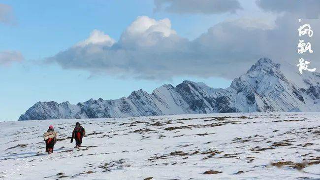 地区|【专访】那些随风飘散的故事~~~