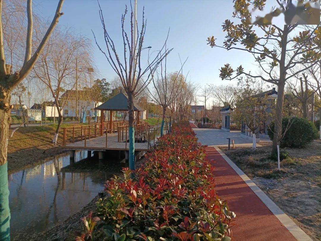 海安上榜!_乡村_王琪峰_李堡镇