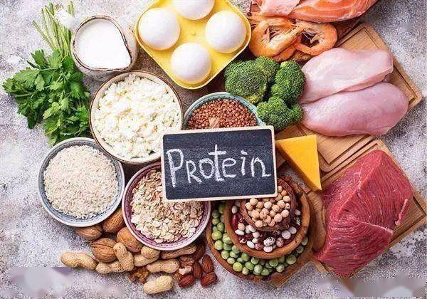 优质蛋白质食物有哪些减肥 2f5fcf0c25ef46cc960f8f61c28841e8.jpeg