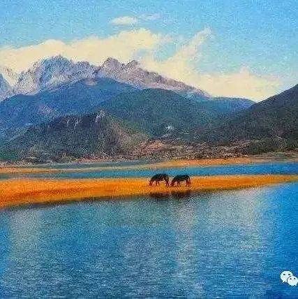 【散文】文海寻梦_人生_岁月_文字