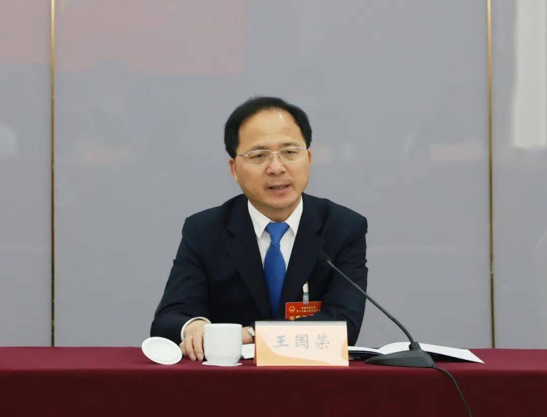 王国荣参加平望同里代表团审议凝心聚力谋发展砥砺奋进向未来