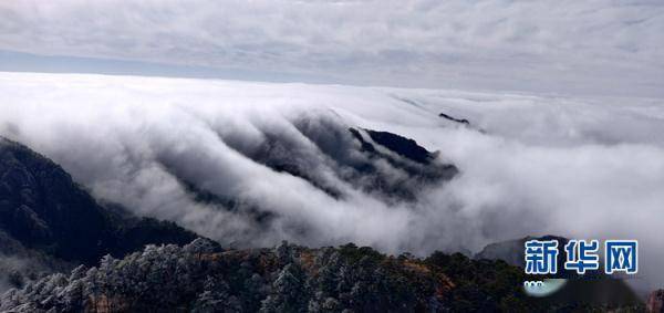 姚建军|冬日黄山 玉树琼枝云海如画