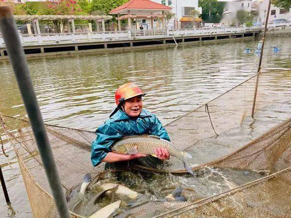 发 年终奖 九江这个社区居民每人分到一条大鱼