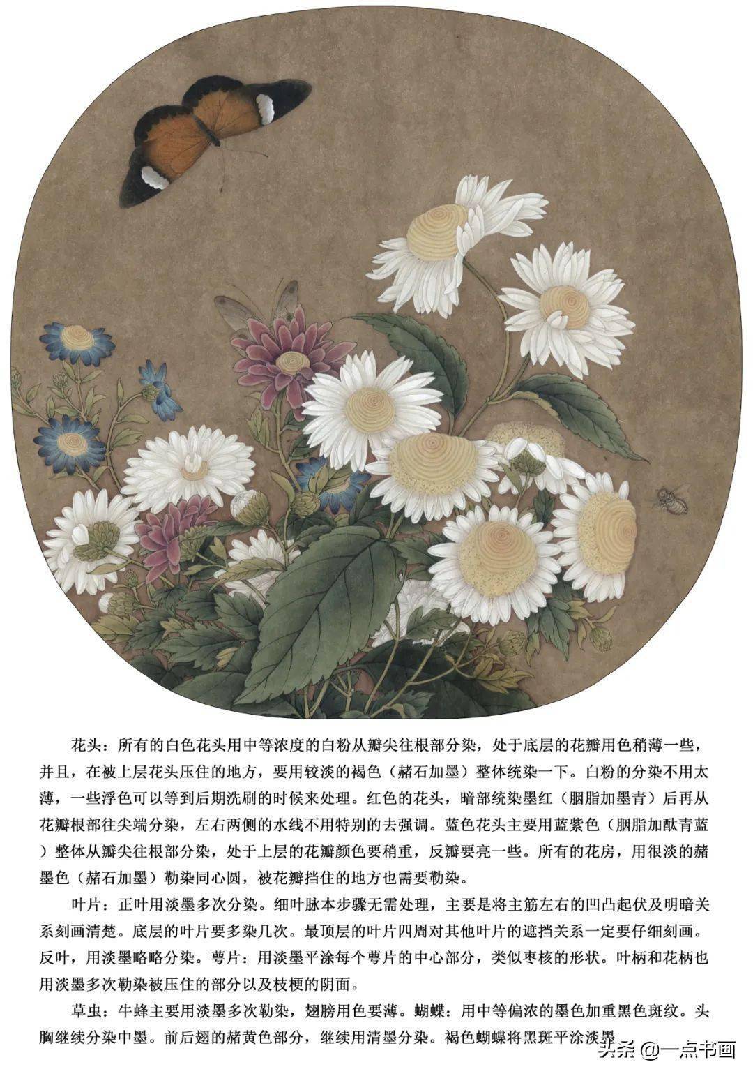 《临宋菊丛飞蝶图》工笔绘制解析_李晓明_作品_cm