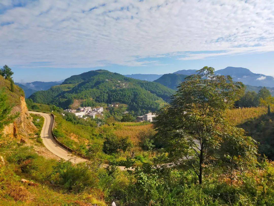 巧家老店镇:硕果映初心 奋楫"十四五"_攻坚_群众_农村