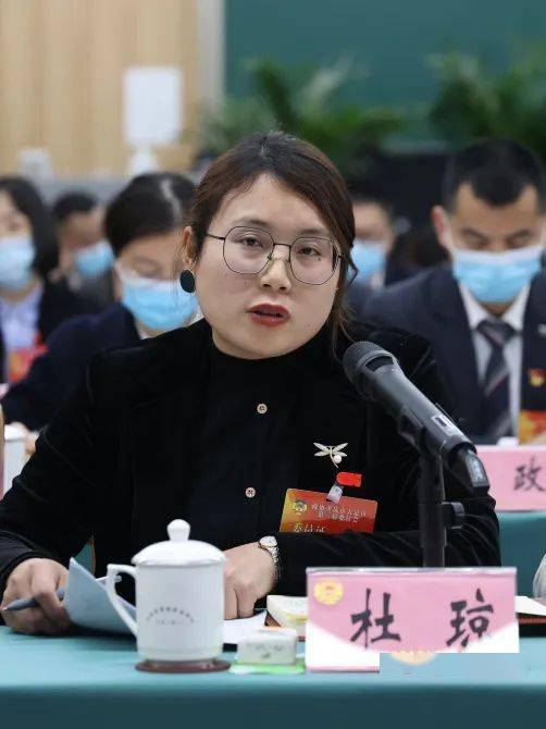 陈一清参加区政协三届一次会议联组协商_发展_大足_企业