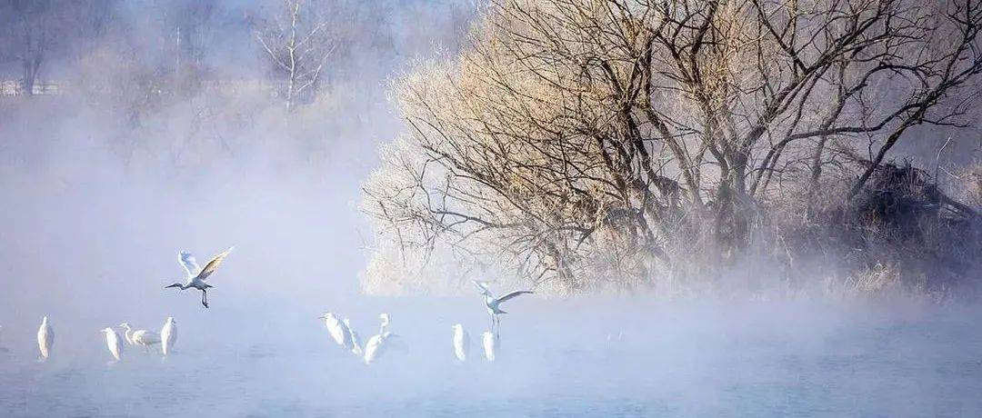 冬景,那么美!_fuhua_Photo_com