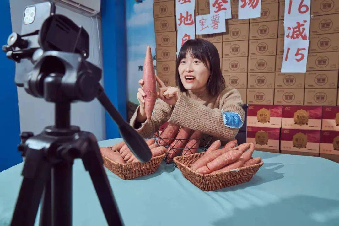 小红薯成为全村的希望河南一村庄所产蜜薯跨海热销至海南