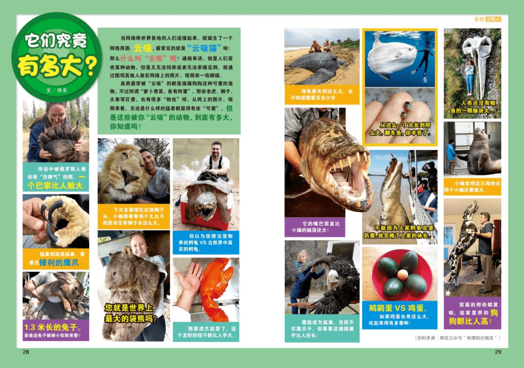 期刊|【期刊】培养“理科”兴趣，为孩子打开认识“科学”的一道大门