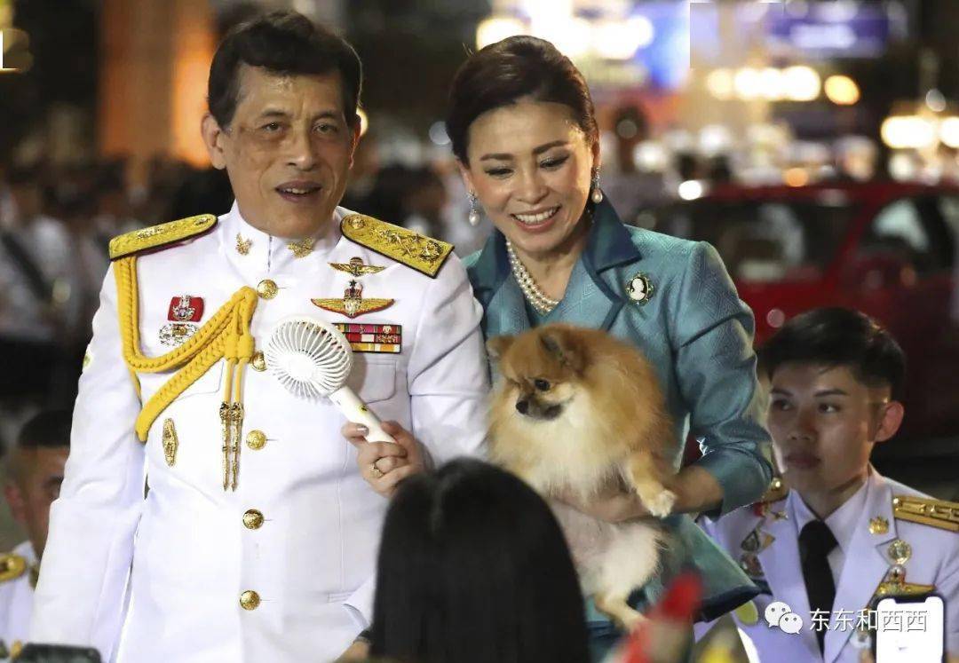 30只宠物犬出门坐头等舱,泰国王后和贵妃斗这么久,还不如狗狗有主角光环?_苏提达_德国_王室