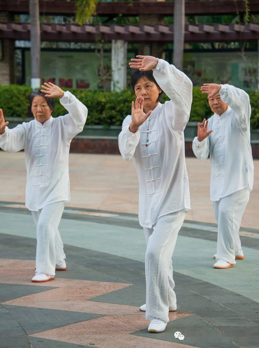 ▏小区里的太极拳_业主_教学_赵幼斌