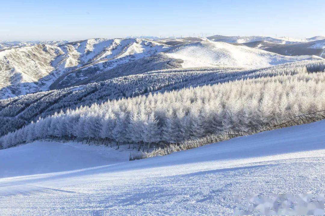 纬度|冬奥快到了，“3亿人上冰雪”去哪上？