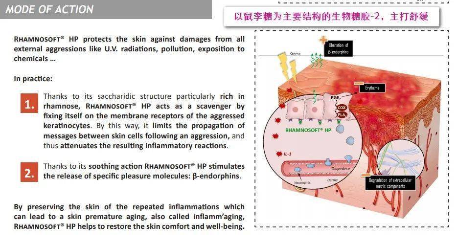 头皮正在直播：年前换张脸，敏感肌和防脱发专场！