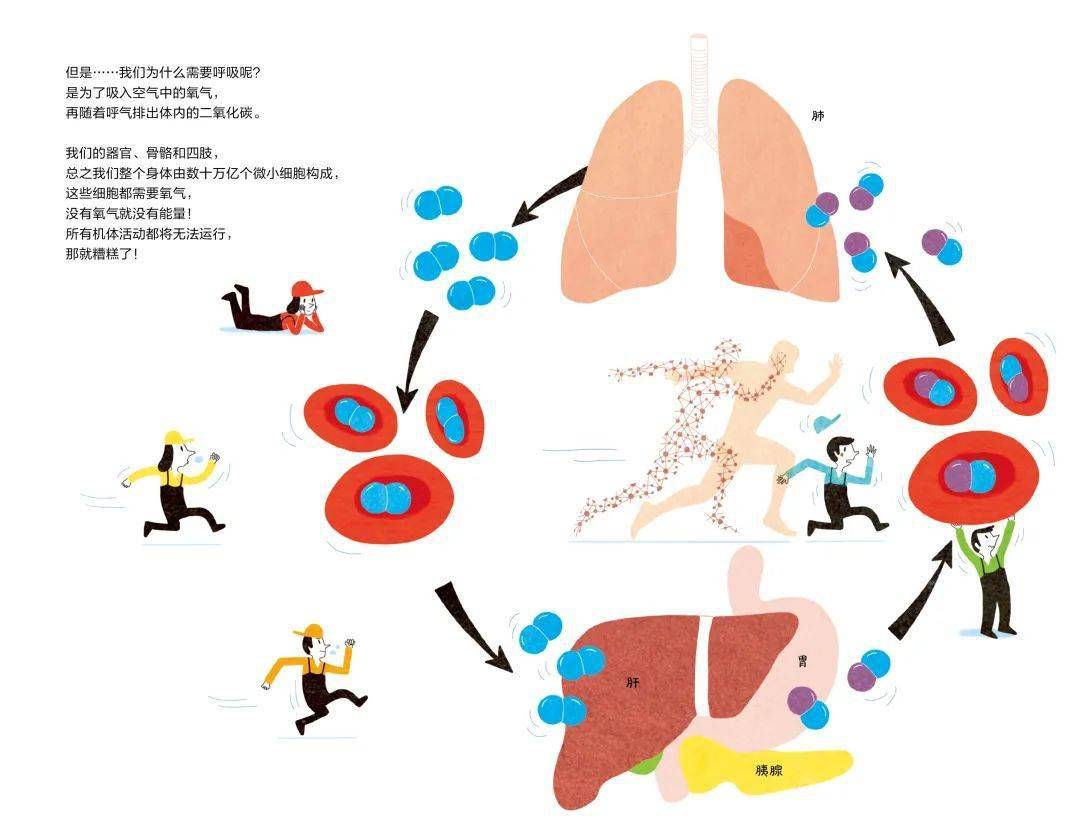 幻想|严谨的科普绘本，也可以用一点点法式幻想来调味