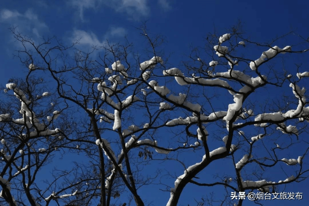 世外桃源|一场冬雪后，昆嵛山竟变成这样……