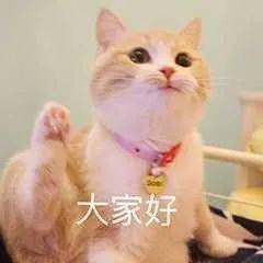 e1bb44c2531045c99e75fa945afa26be.jpeg