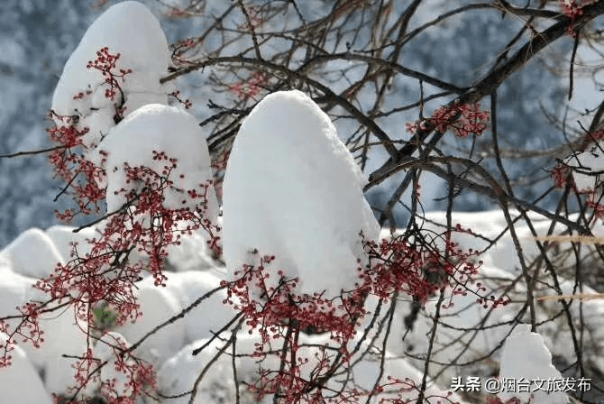 世外桃源|一场冬雪后，昆嵛山竟变成这样……