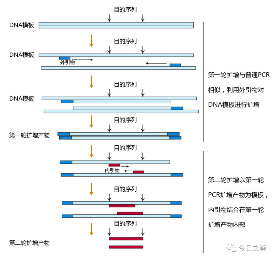 探寻:77777888888免费管家跟77777788888免费四肖,详细剖析、专家解析解释与落实&8211;小心误导宣传风险