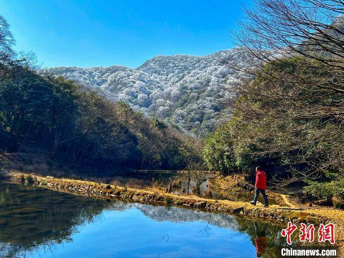 杆洞乡|广西北部深山出现一片彩色雪原