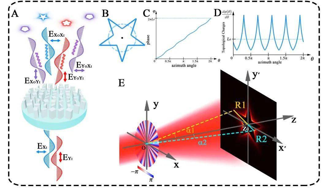 携带这一典型特征的涡旋光束获得了广泛的研究,在光通信容量扩展,光
