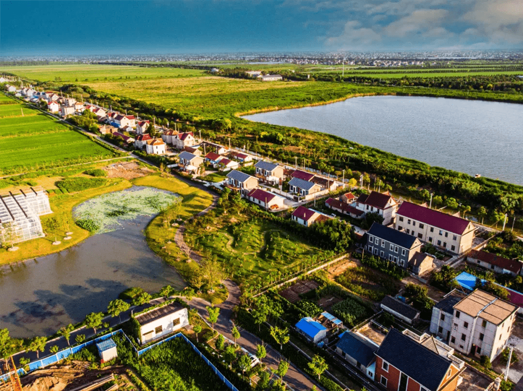 上海崇明以绿色之笔书写生态发展大文章